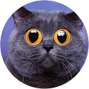 Adam S. profile picture